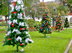 julgran 0 lista